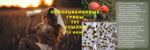 ALPHA PVP Абинск