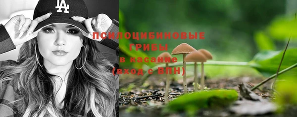 PSILOCYBIN Абаза