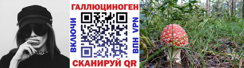 Галлюциногенные грибы ЛСД Тарко-Сале